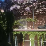 16th Century Townhouse, Large Garden Near Lake, Tuscany And Umbria - Sleeps 18 Casa de Férias *