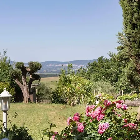 16th Century Townhouse, Large Garden Near Lake, Tuscany And Umbria - Sleeps 18 Semesterbostad *